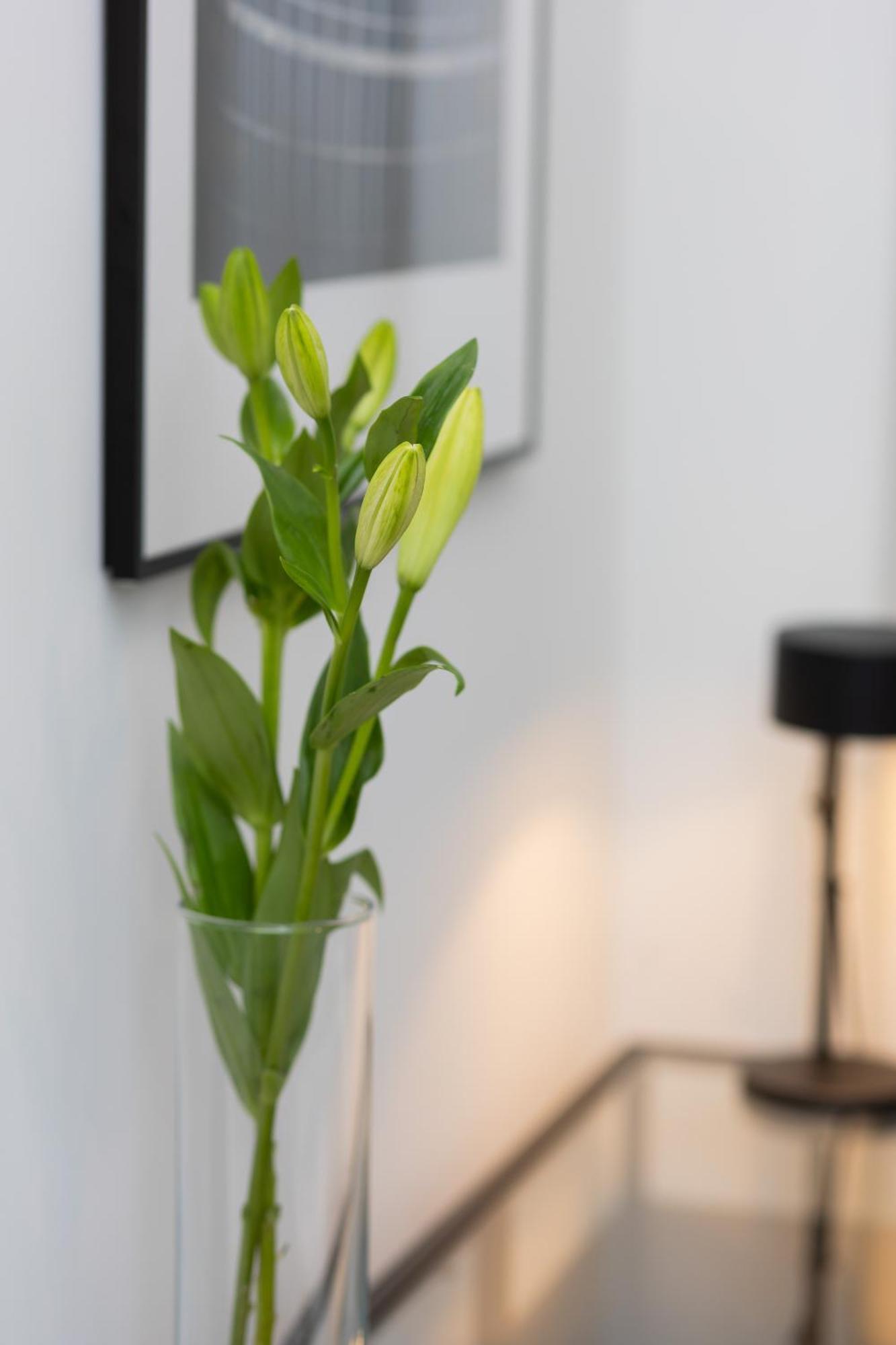 Cosy Dream City Center Apartment By Noclegi Renters Warszawa Eksteriør bilde
